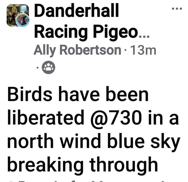 Screenshot_20250517_074714_Facebook.jpg