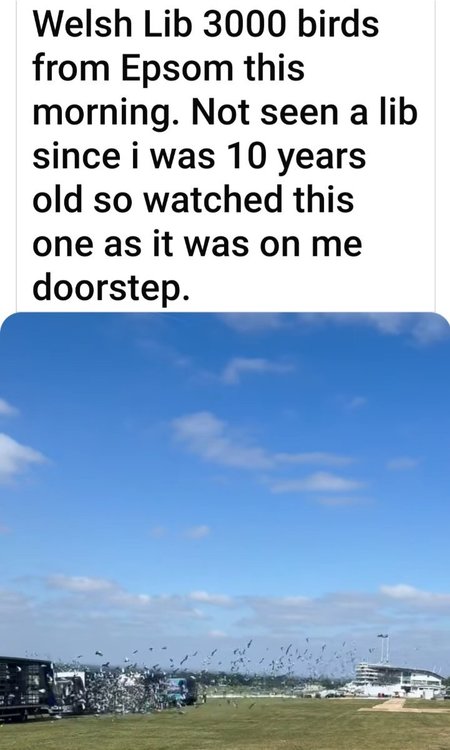 Screenshot_20250517_111318_Facebook.jpg
