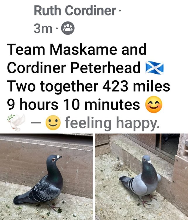 Screenshot_20250531_171925_Facebook.jpg