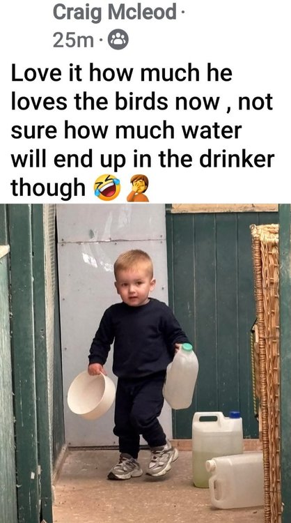 Screenshot_20250601_100147_Facebook.jpg