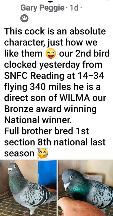 Screenshot_20250603_174338_Facebook.jpg