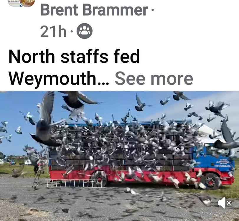 Screenshot_20250615_083116_Facebook.jpg