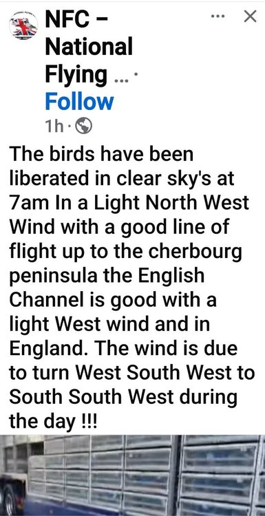 Screenshot_20250615_084951_Facebook.jpg