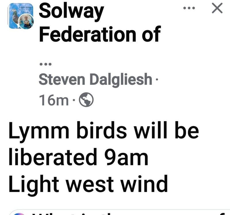 Screenshot_20250615_091417_Facebook.jpg