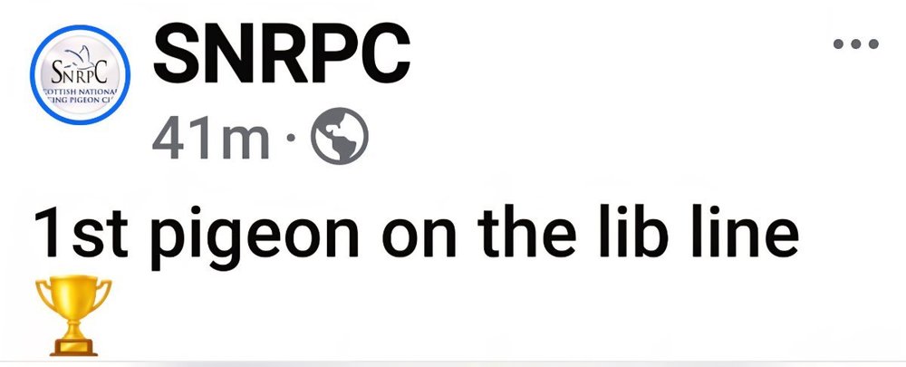 Screenshot_20250629_172148_Facebook.jpg